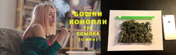 шишки Абинск