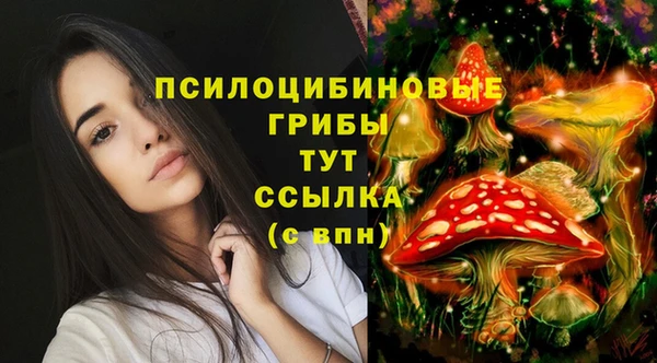 бутират Абаза