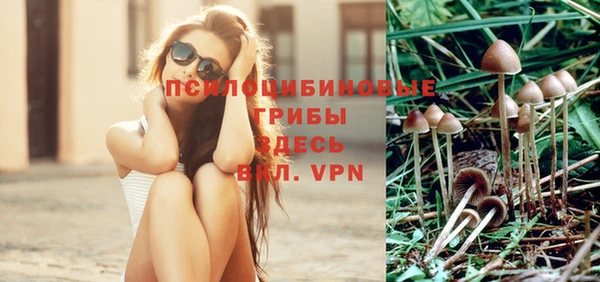 шишки Абинск
