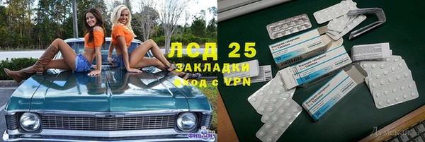 шишки Абинск