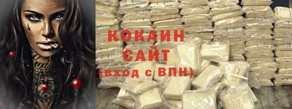 шишки Абинск