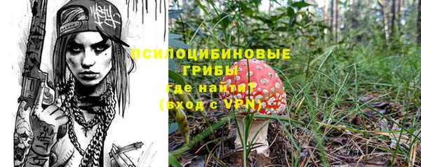 шишки Абинск