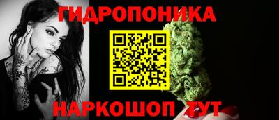 соль ск Кулебаки