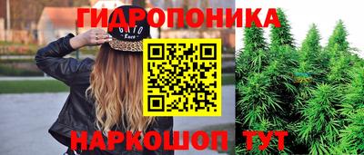 крисы Кунгур