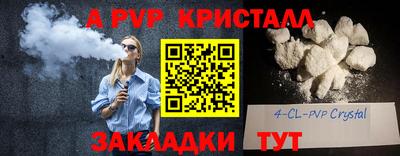 крисы Кунгур