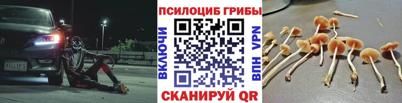 Галлюциногенные грибы Psilocybine cubensis kraken зеркало Новочеркасск
