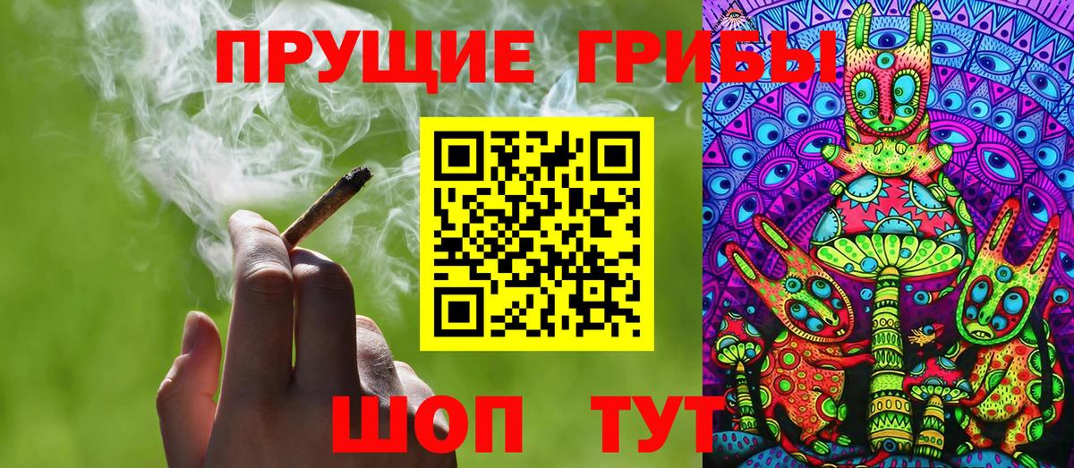 Галлюциногенные грибы Psilocybine cubensis Новочеркасск