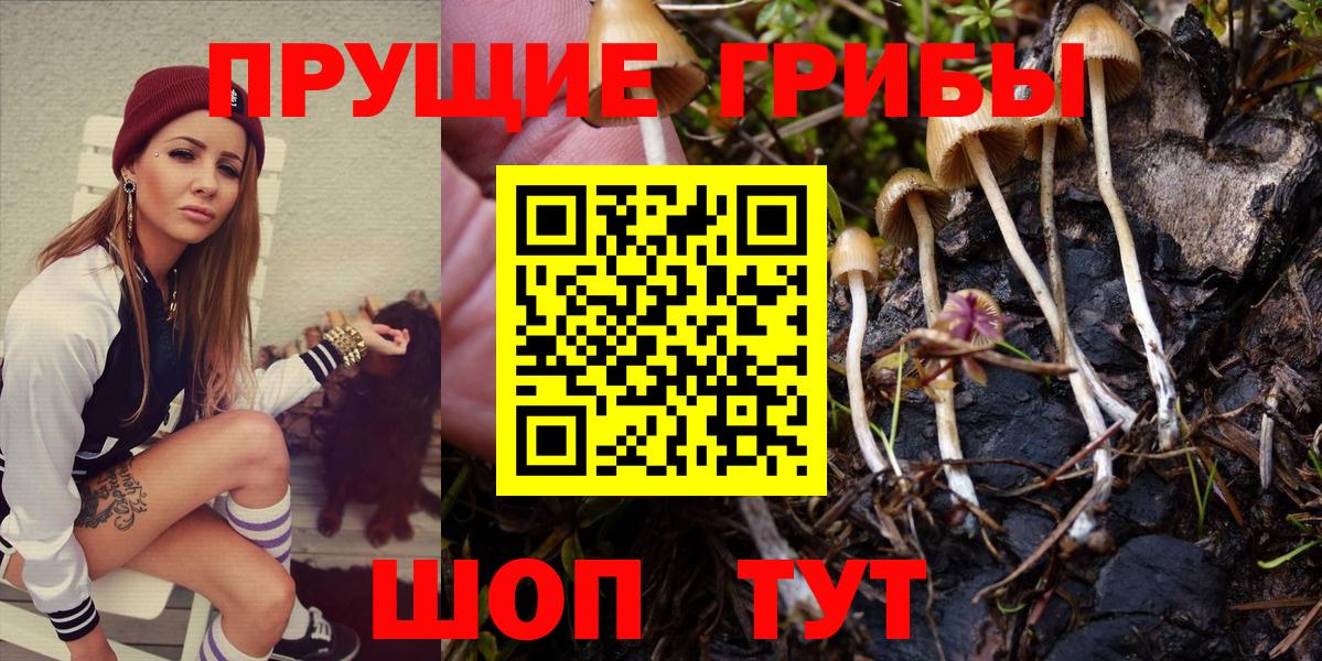 Галлюциногенные грибы прущие грибы  Вход с VPN  Новочеркасск 